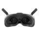 Комплект DJI Goggels 2 Motion Combo